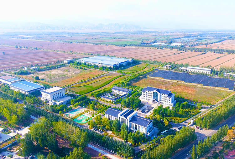  制水乐鱼（中国）官方网站